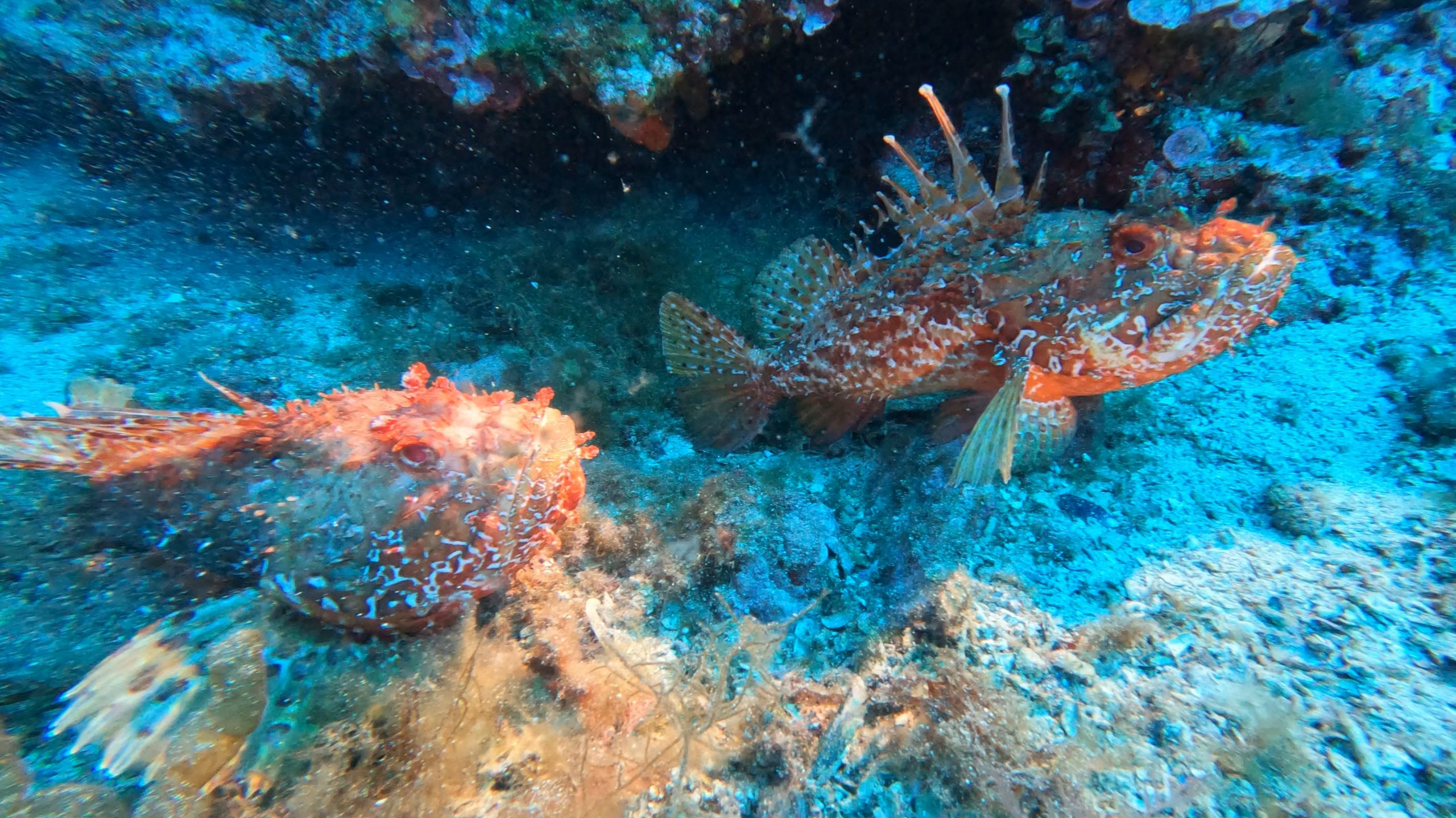 Compte rendu réunion 28/08/25