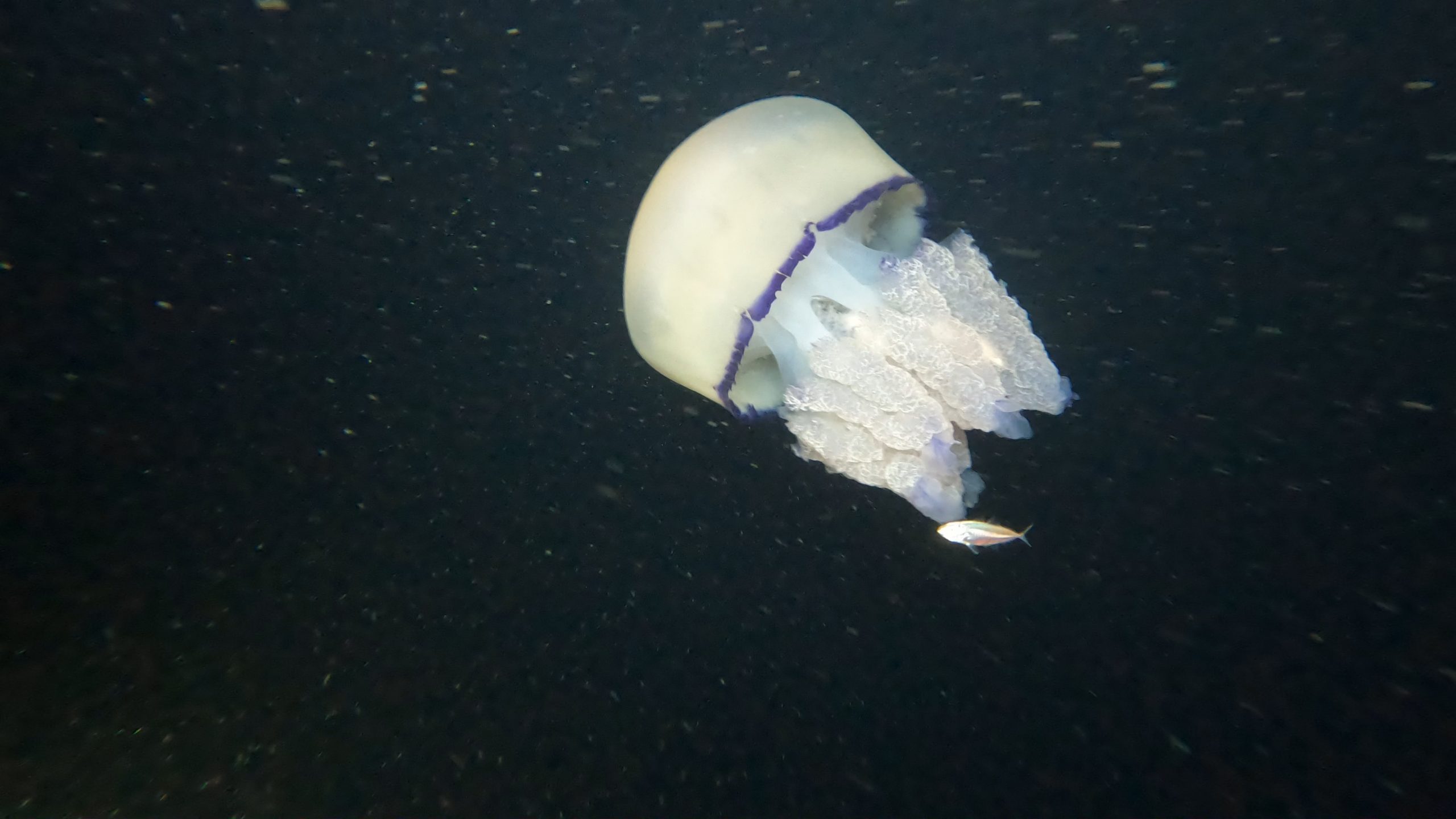 Réunion du bureau 22/09/25