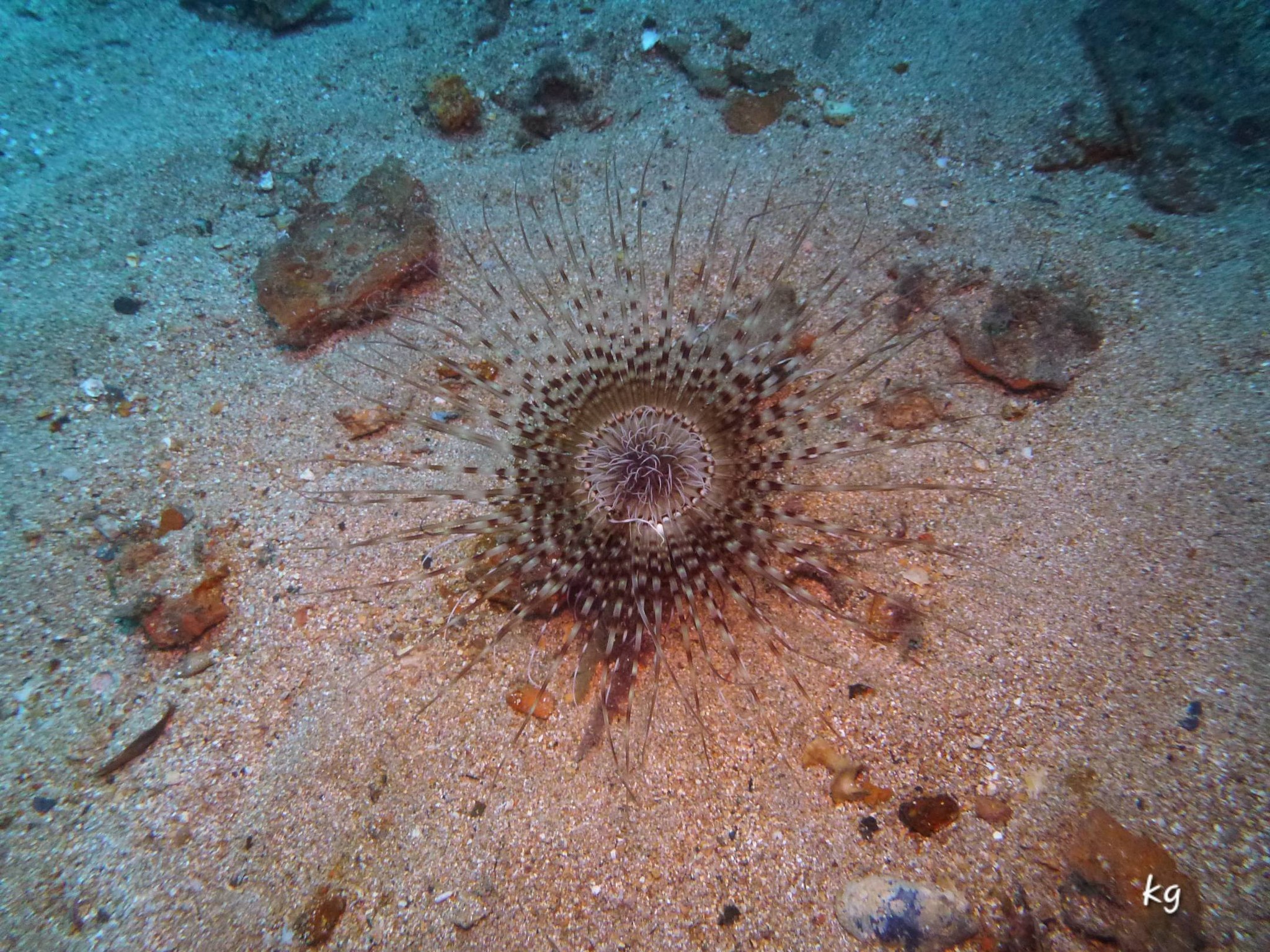 Reunion du bureau 13/04/26